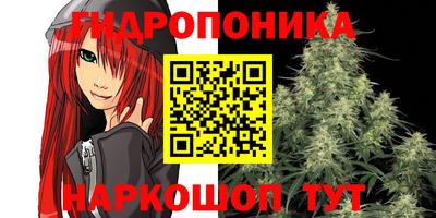 соль ск Славгород