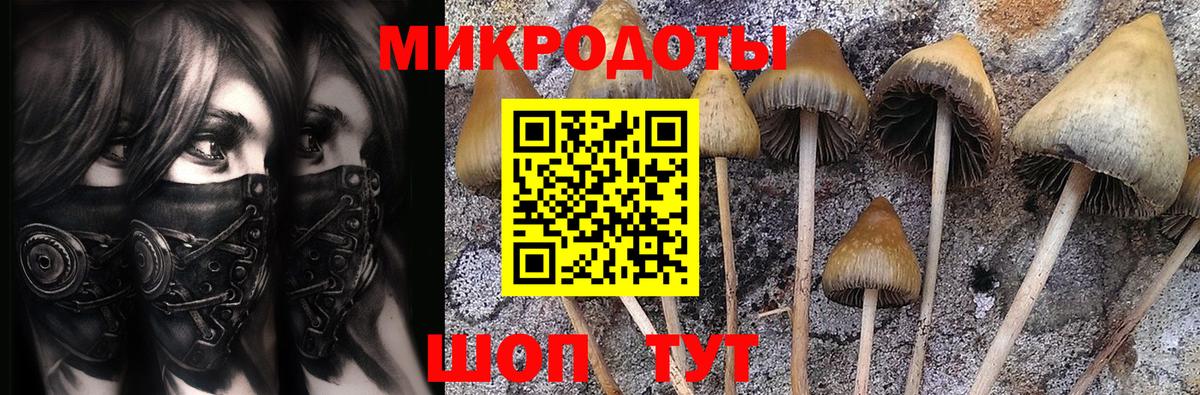 Псилоцибиновые грибы мицелий Рыбинск